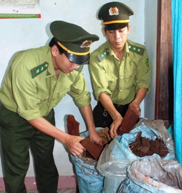 Kiểm lâm VQG Phong Nha bị tấn công giữa ban ngày